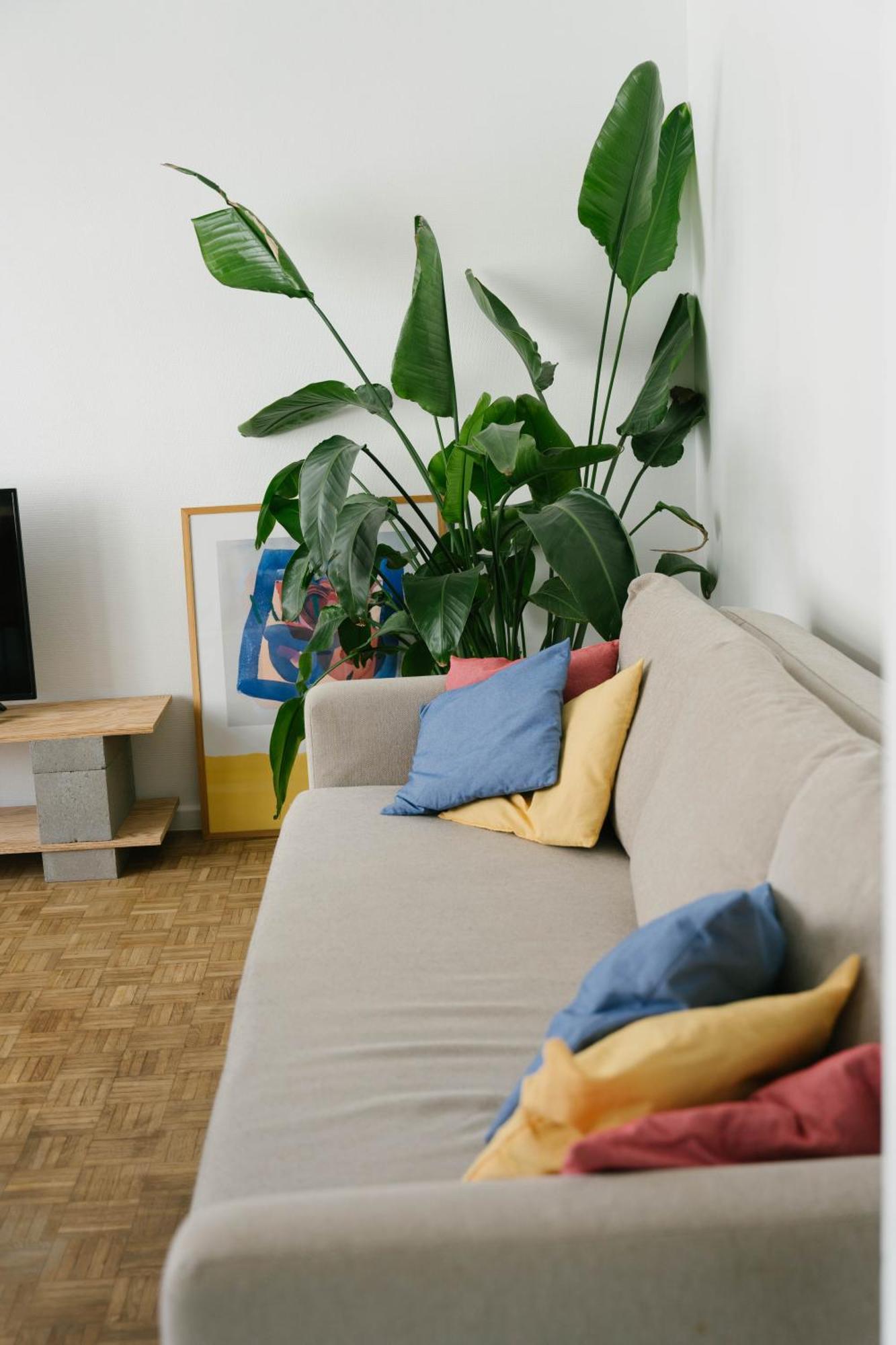 Centrally Located Apartment Close To The Beach Oostende Bagian luar foto